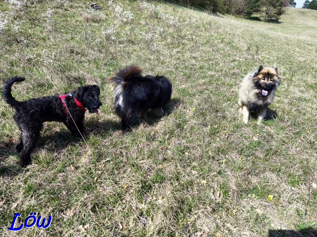 11.4.2025 - Truppenaufmarsch